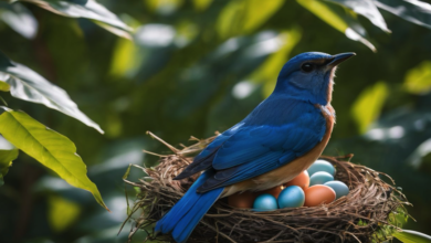 What Bird Has Soft Shell Eggs