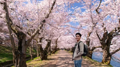 Matcha Green and Pink Blossom​