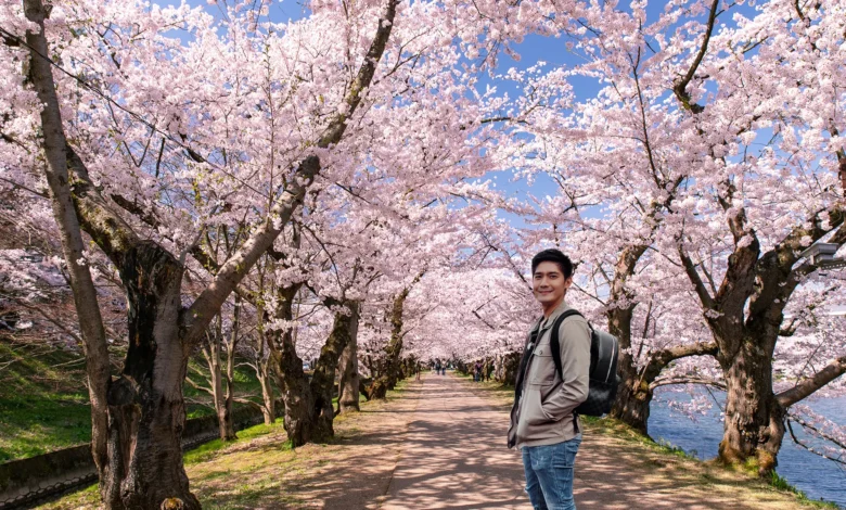 Matcha Green and Pink Blossom​