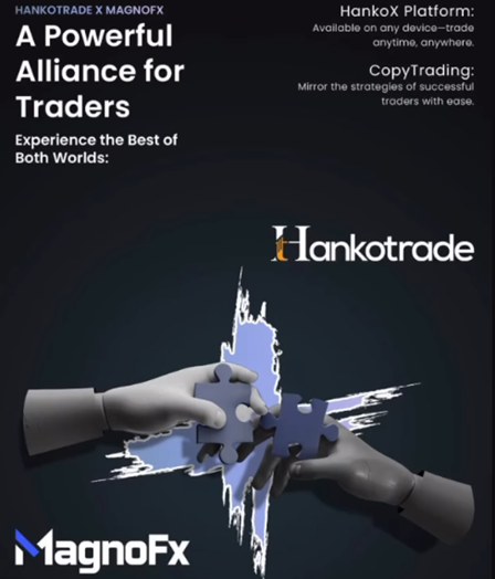 HankoX - The Trader's Ally in a Complex Market